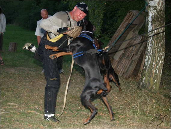 Summer training camp - Jelenec - 2007